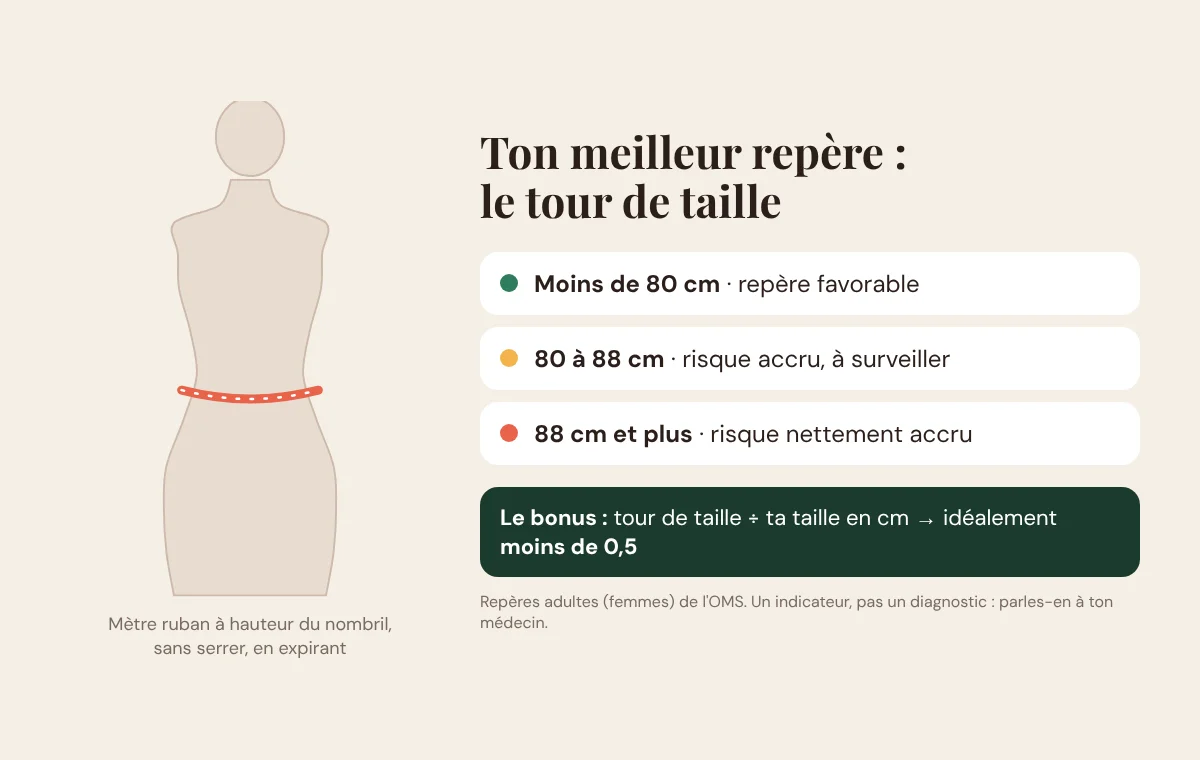 Comment mesurer son tour de taille et repères chez la femme : moins de 80 cm, 80 à 88 cm, 88 cm et plus
